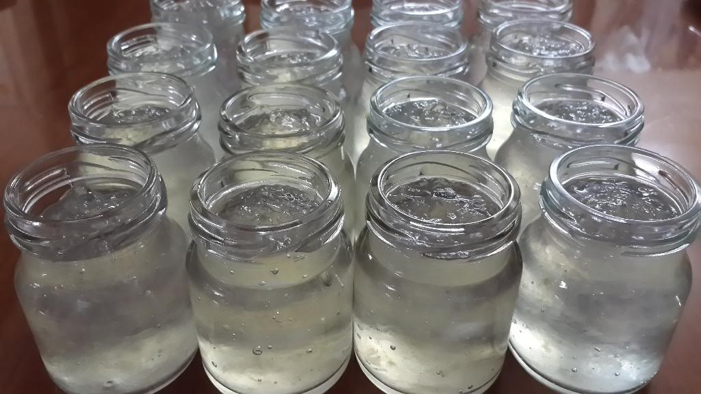 TUYỆT CHIÊU NẤU NHA ĐAM ĐƯỜNG PHÈN VỪA NGON VỪA LỢI CHO SỨC KHỎE.
